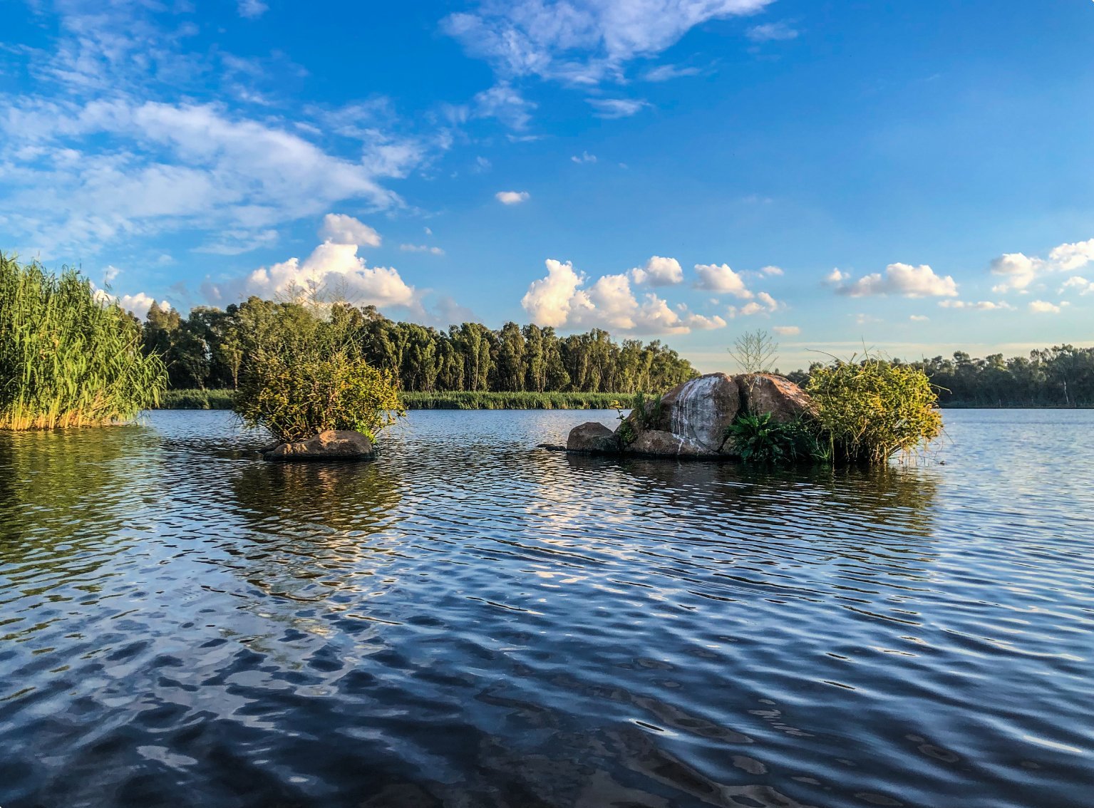 A quiet lake in Gauteng, a short drive from Phela